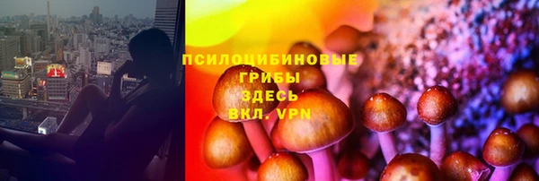 стафф Алексеевка