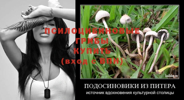 гидропоника Алексин