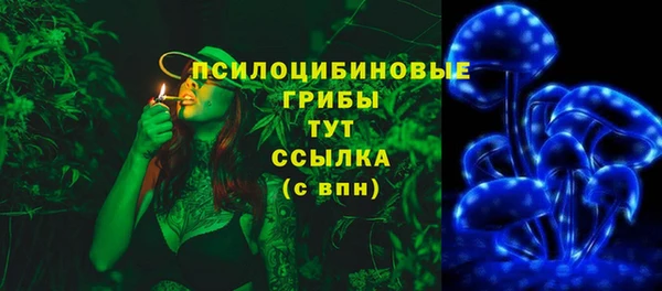 стафф Алексеевка